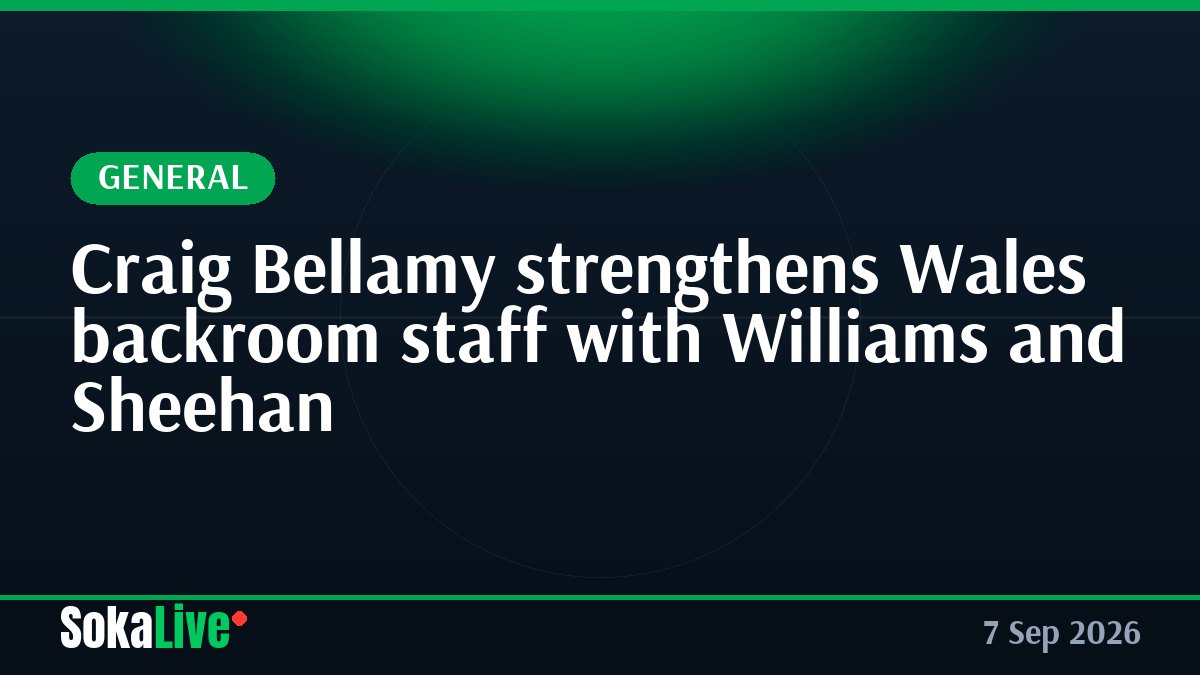 Craig Bellamy strengthens Wales backroom staff with Williams and Sheehan