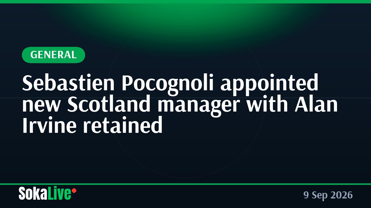 Sebastien Pocognoli appointed new Scotland manager with Alan Irvine retained