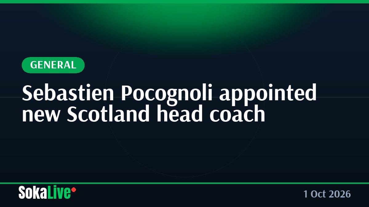 Sebastien Pocognoli appointed new Scotland head coach