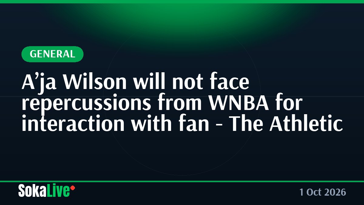 A’ja Wilson will not face repercussions from WNBA for interaction with fan - The Athletic