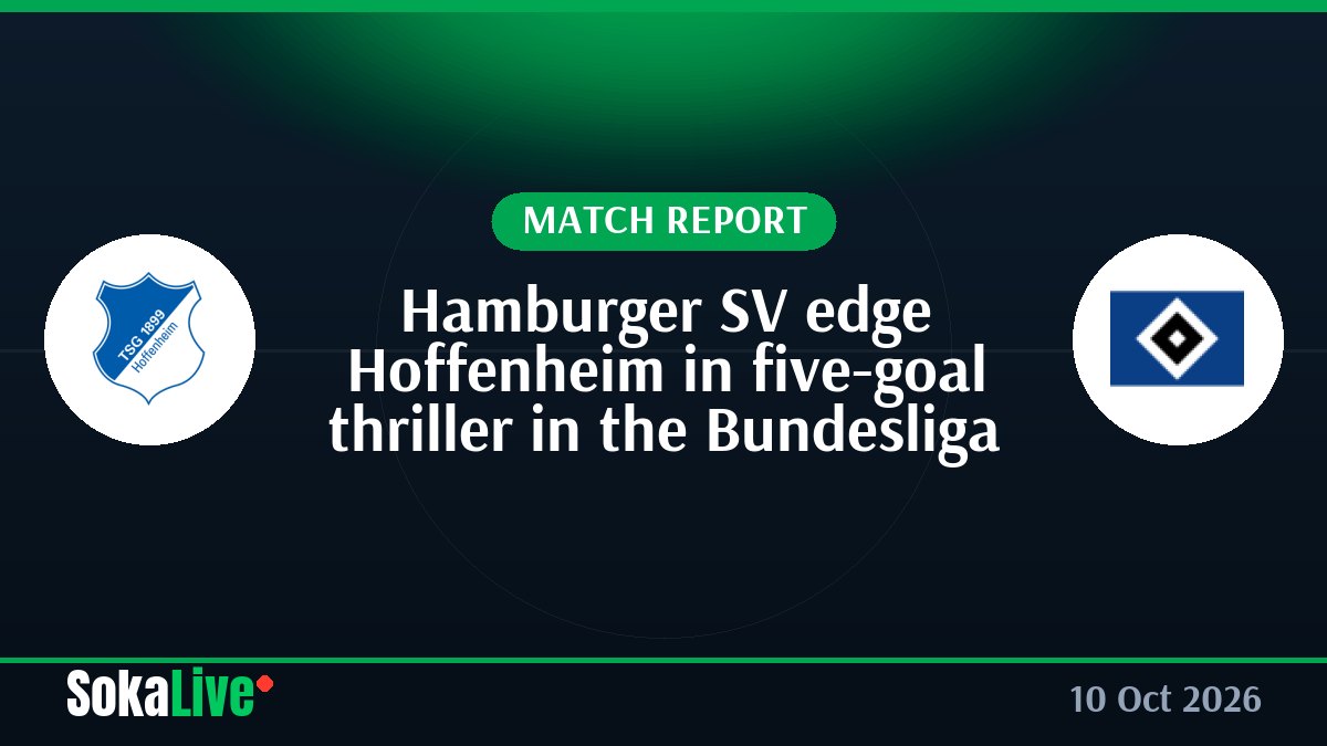 Hamburger SV edge Hoffenheim in five-goal thriller in the Bundesliga